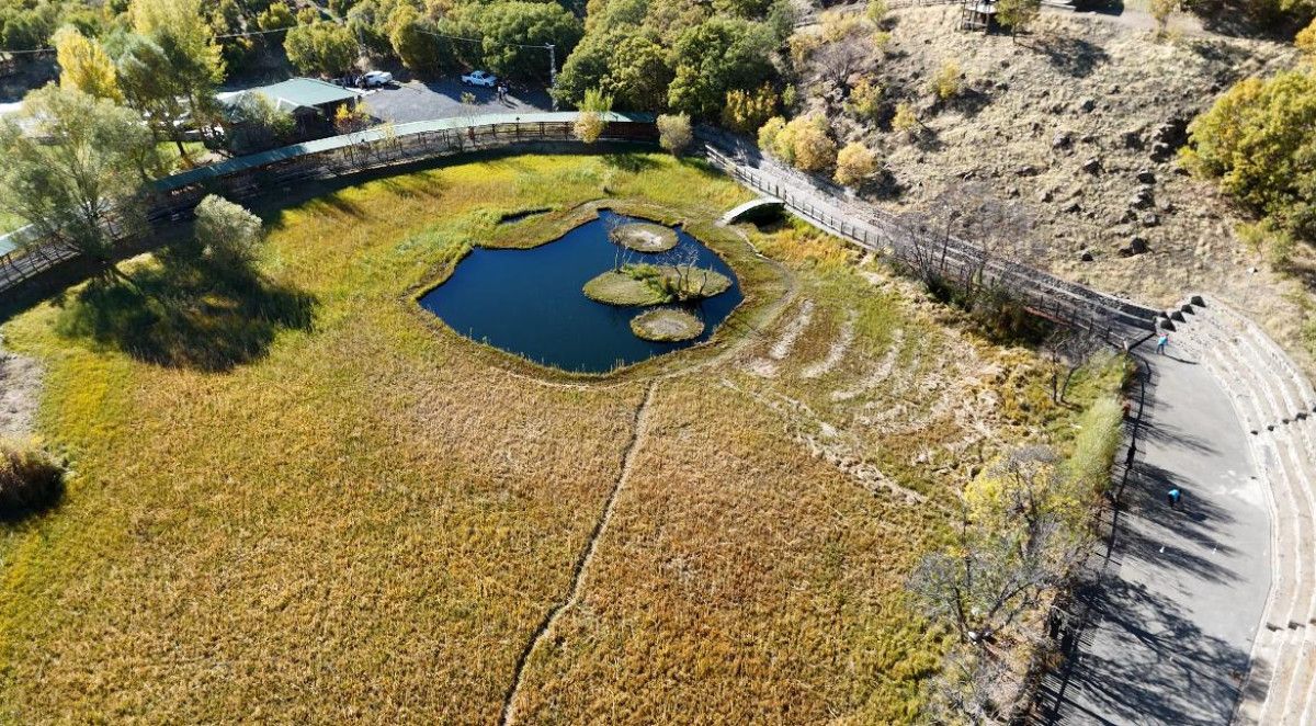 Sonbaharın Büyüsü: Yüzen Adalar'da Kartpostal Gibi Manzaralar! 2 Sonbaharın Büyüsü: Yüzen Adalar'da Kartpostal Gibi Manzaralar!