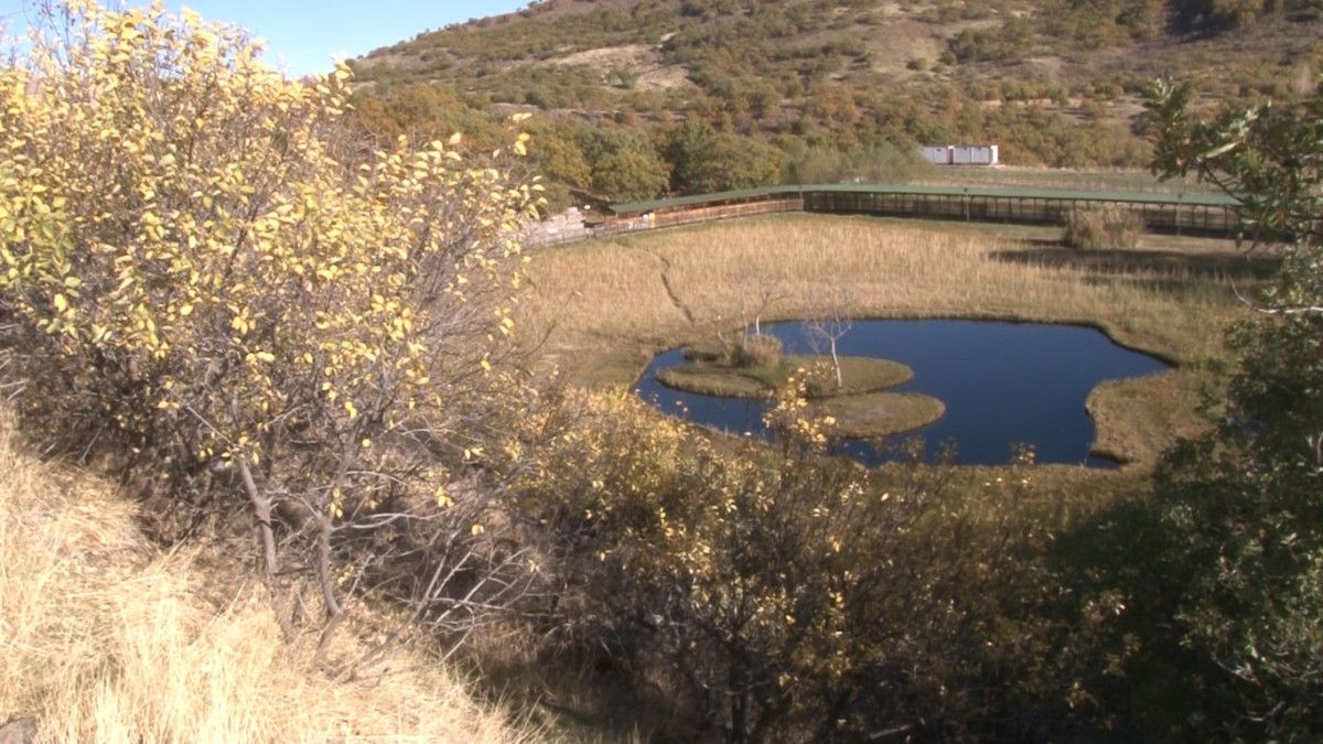 Sonbaharın Büyüsü: Yüzen Adalar'da Kartpostal Gibi Manzaralar! 4 Sonbaharın Büyüsü: Yüzen Adalar'da Kartpostal Gibi Manzaralar!