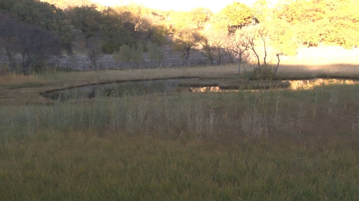 Sonbaharın Büyüsü: Yüzen Adalar'da Kartpostal Gibi Manzaralar! 5 Sonbaharın Büyüsü: Yüzen Adalar'da Kartpostal Gibi Manzaralar!