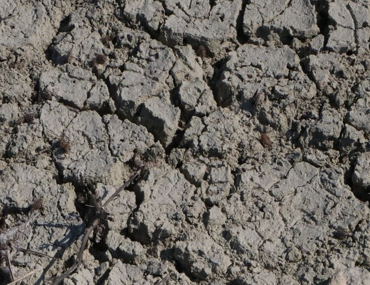 Suların Çekilmesiyle Tarihin Gizli Hazinesi: Eski Köprü Gün Yüzüne Çıktı