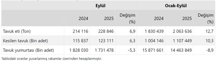Tavuk eti üretimi arttı, yumurta geriledi: TÜİK Eylül ayı verilerini açıkladı