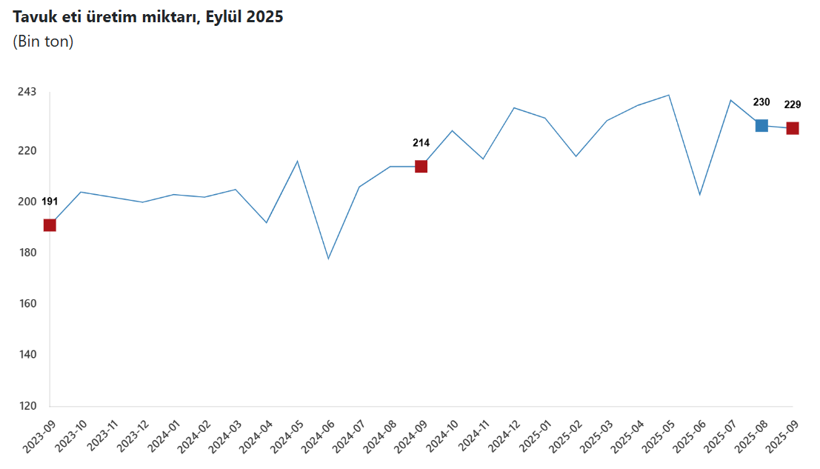 Tavuk eti üretimi arttı, yumurta geriledi: TÜİK Eylül ayı verilerini açıkladı