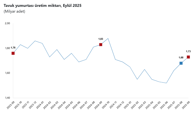 Tavuk eti üretimi arttı, yumurta geriledi: TÜİK Eylül ayı verilerini açıkladı