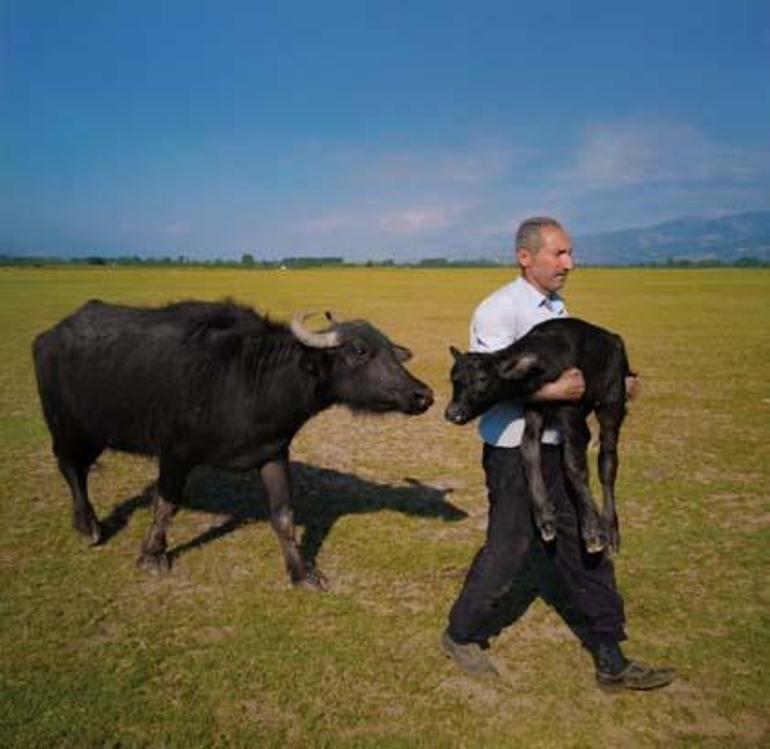 Tokatlı fırın ustası çektiği fotoğrafla tarihe geçti! Ödül sevinci vize engeline takıldı 4 Tokatlı fırın ustası çektiği fotoğrafla tarihe geçti! Ödül sevinci vize engeline takıldı