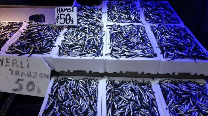 Trabzonlular hamsiye doydu: Kilosu 50 TL’den satılıyor