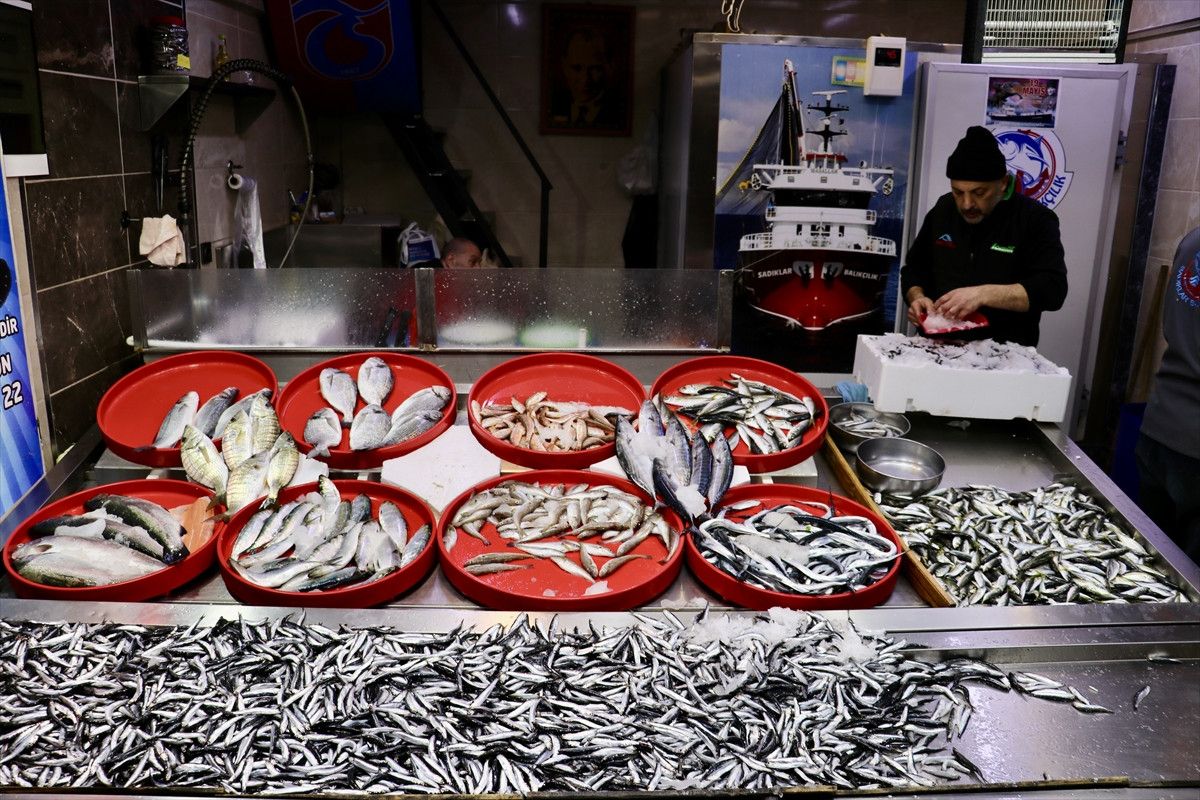 Trabzon'un Lezzet Avı: Hamsi Tezgahlarının Vazgeçilmezi 3 Trabzon'un Lezzet Avı: Hamsi Tezgahlarının Vazgeçilmezi