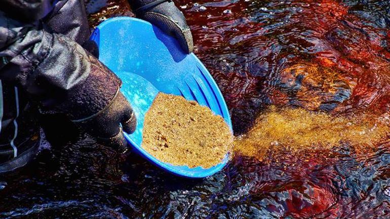 Türkiye’den çıkan yılda 40 ton! Tası alan nehirde yakalıyor: 'Altın çağı başlamadı' 1 Türkiye’den çıkan yılda 40 ton! Tası alan nehirde yakalıyor: 'Altın çağı başlamadı'