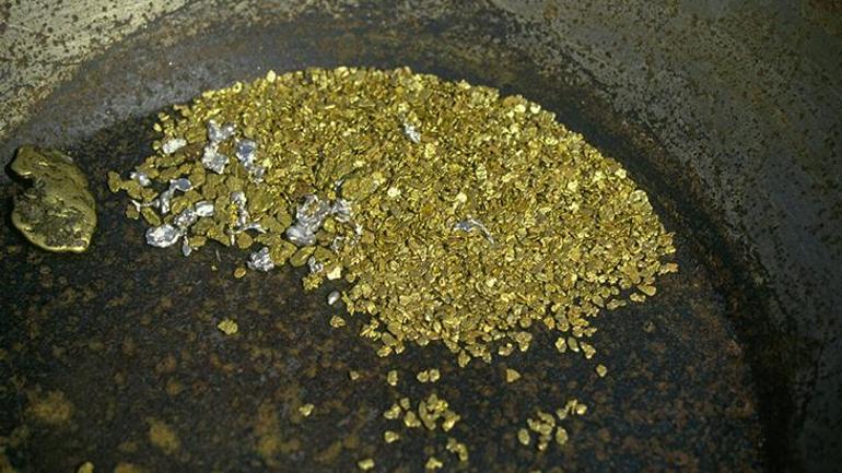Türkiye’den çıkan yılda 40 ton! Tası alan nehirde yakalıyor: 'Altın çağı başlamadı' 3 Türkiye’den çıkan yılda 40 ton! Tası alan nehirde yakalıyor: 'Altın çağı başlamadı'