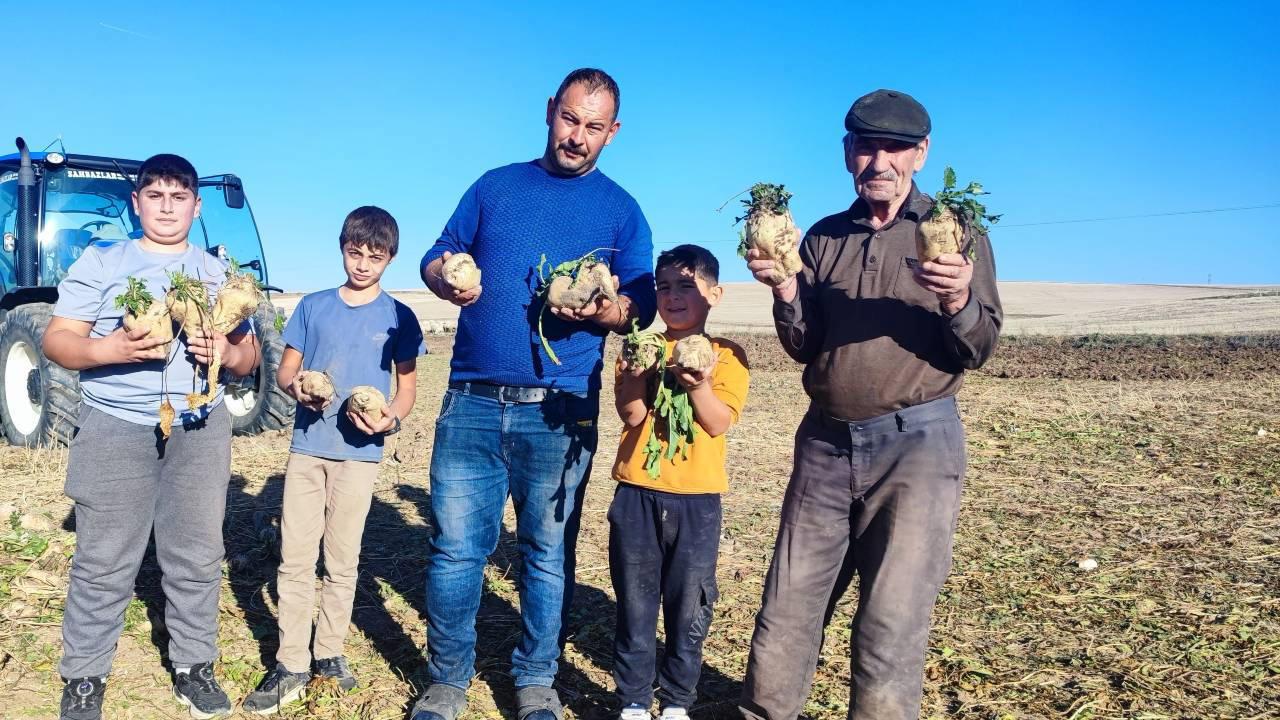 Türkiye’nin en geç hasat noktası! 6 aylık emek yüz güldürdü