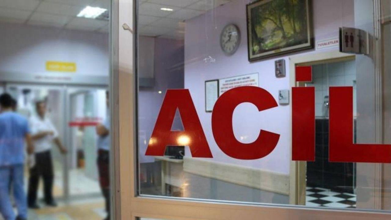 Uzmanından ’Deli dana’ uyarısı