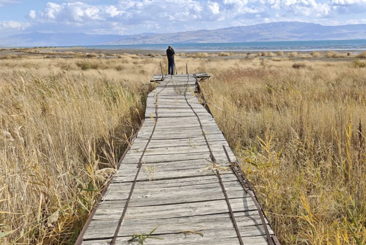 Van Gölü'ndeki Çekilme Anları: Fotoğraflarla Belgelendi