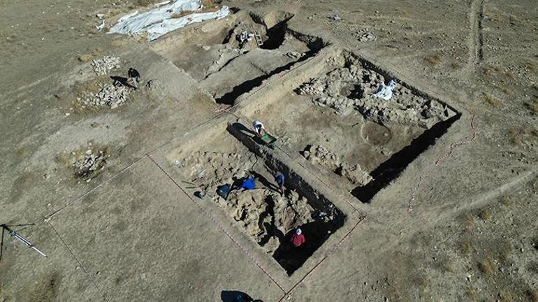 Van'da 5 bin yıllık arpa taneleri bulundu