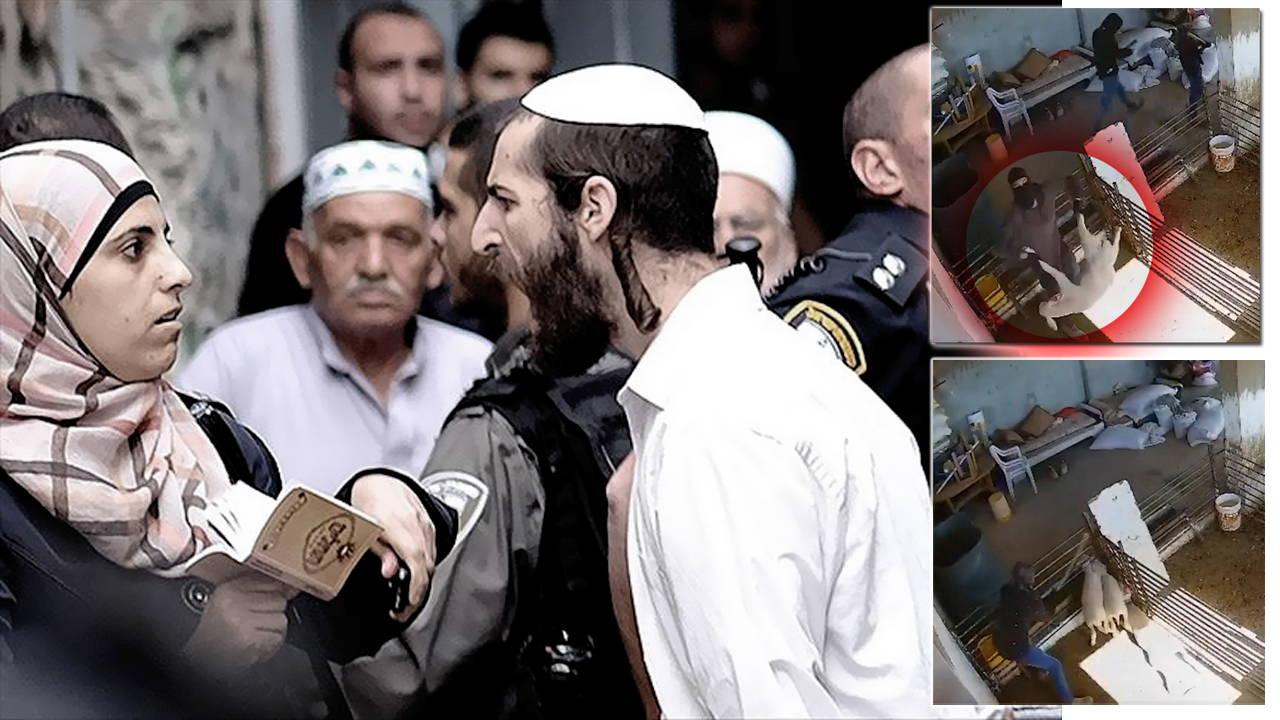 Yahudi yerleşimciler, Filistinlilerin hayvanlarına saldırdı!