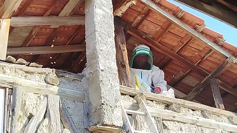 Yer: Çorum! Çatısına yuva yapan eşek arılarının soktuğu kadın hastanelik oldu