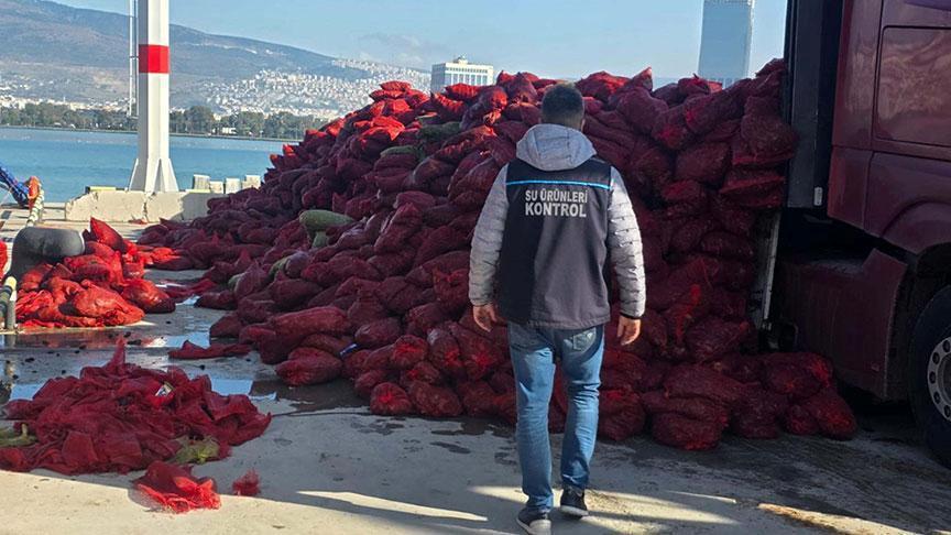Yer: İzmir! Kaçak avlanan 27 ton kara midye ele geçirildi