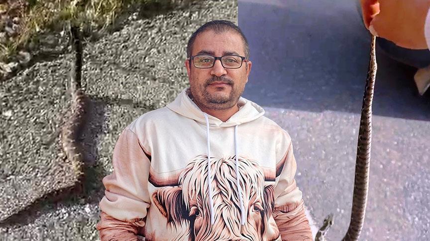 Yer: Kütahya! Zehirli engerekle ölüm dansı: ‘Ben bir delilik yaptım’