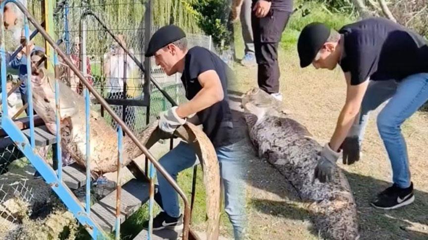 Yer: Sakarya! Amatör balıkçının oltasına servet takıldı: ‘Rahat bir 70 kilosu var’