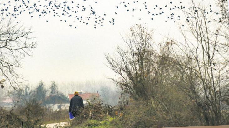 Yerli oyunlar aile kavramını sorguluyor