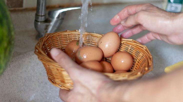 Yıkayınca sonuç: Salmonella bakterisi! Yumurtayı böyle muhafaza etmek şart 1 Yıkayınca sonuç: Salmonella bakterisi! Yumurtayı böyle muhafaza etmek şart