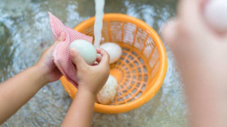 Yıkayınca sonuç: Salmonella bakterisi! Yumurtayı böyle muhafaza etmek şart 2 Yıkayınca sonuç: Salmonella bakterisi! Yumurtayı böyle muhafaza etmek şart