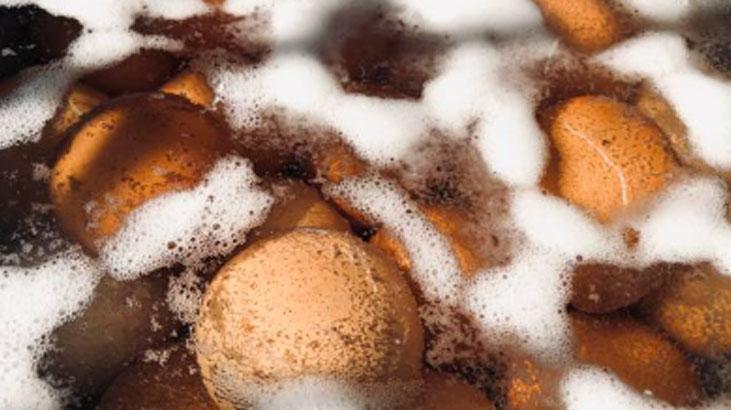 Yıkayınca sonuç: Salmonella bakterisi! Yumurtayı böyle muhafaza etmek şart 3 Yıkayınca sonuç: Salmonella bakterisi! Yumurtayı böyle muhafaza etmek şart