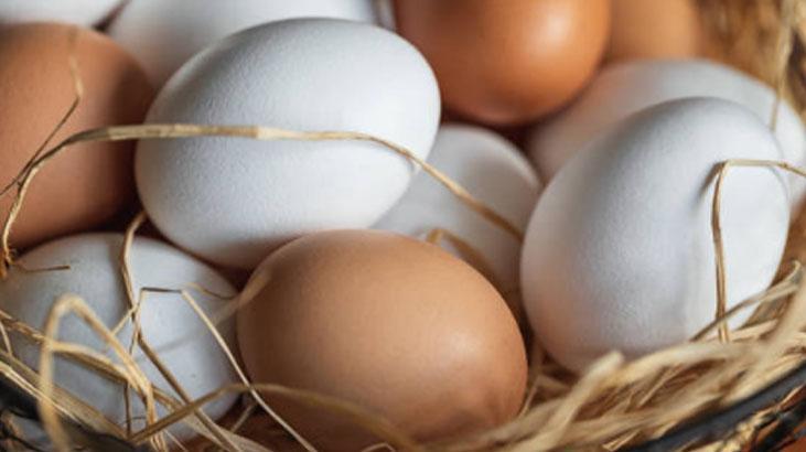 Yıkayınca sonuç: Salmonella bakterisi! Yumurtayı böyle muhafaza etmek şart 4 Yıkayınca sonuç: Salmonella bakterisi! Yumurtayı böyle muhafaza etmek şart