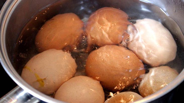 Yıkayınca sonuç: Salmonella bakterisi! Yumurtayı böyle muhafaza etmek şart 7 Yıkayınca sonuç: Salmonella bakterisi! Yumurtayı böyle muhafaza etmek şart