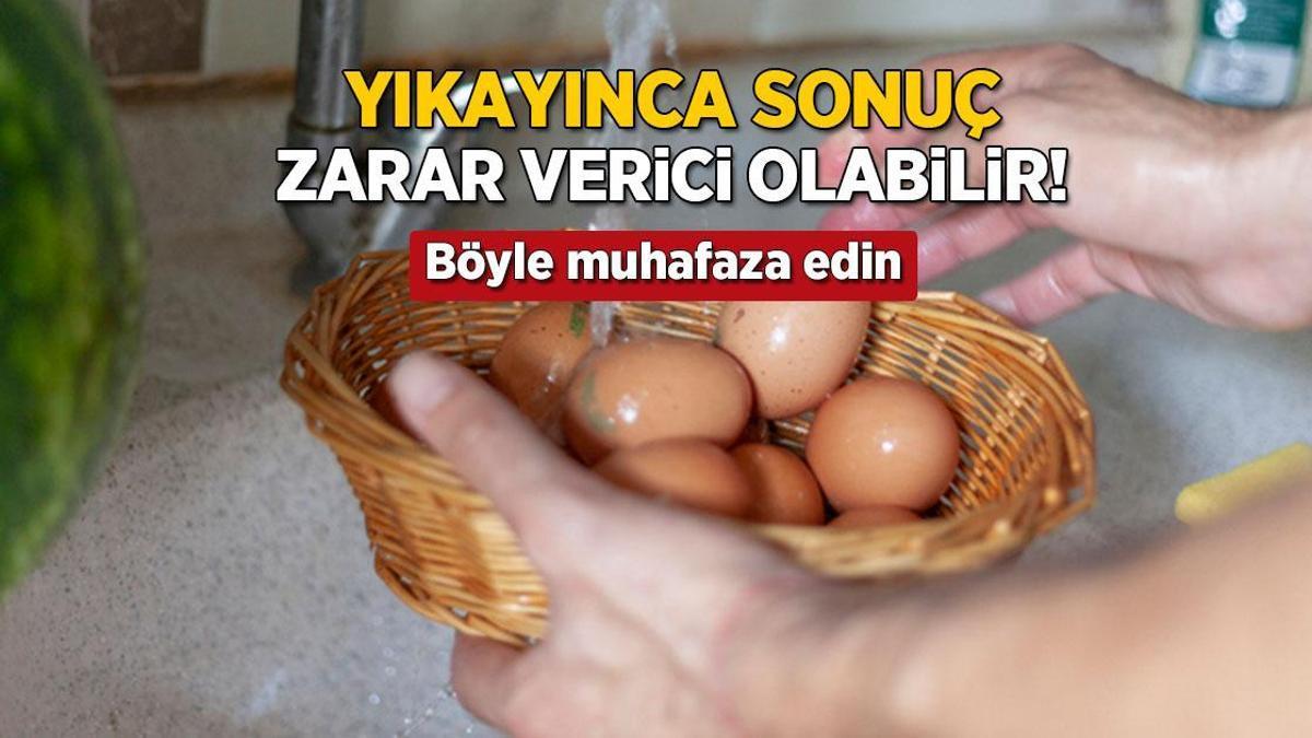 Yıkayınca sonuç: Salmonella bakterisi! Yumurtayı böyle muhafaza etmek şart