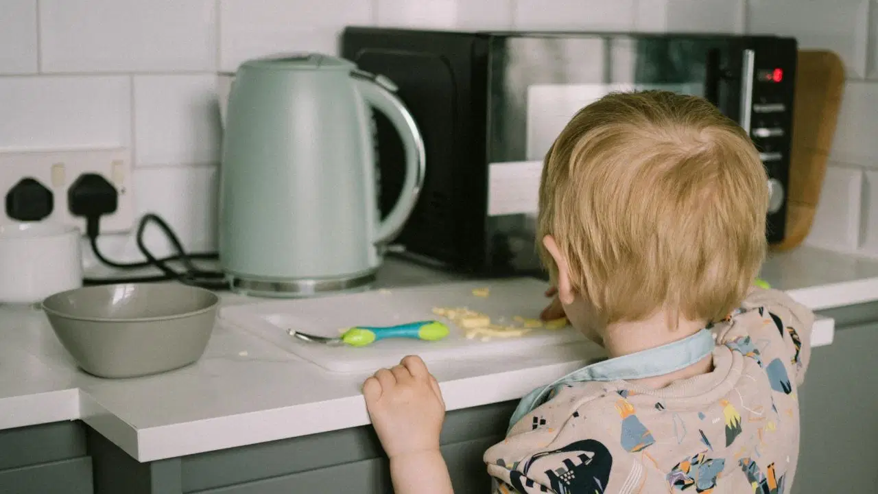 Yiyecekleri mikrodalgada pişirmek besin bedellerini kaybetmesine neden olur mu?