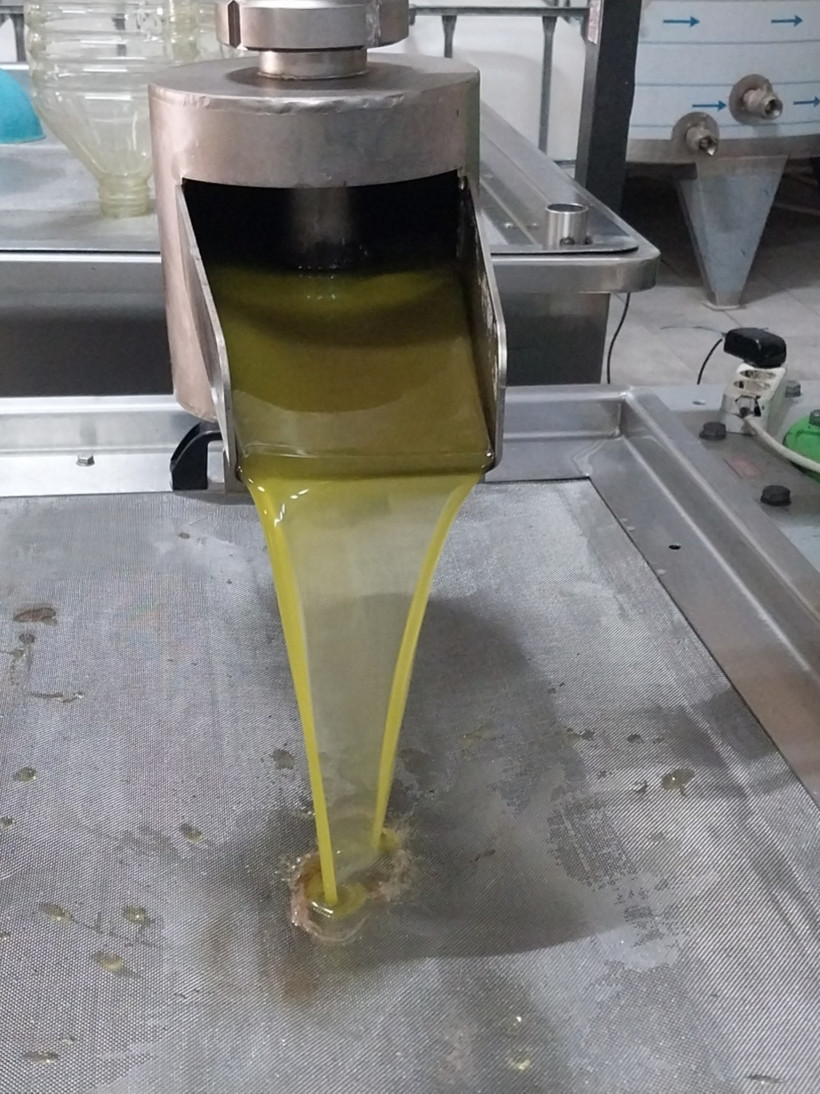 Zeytin ve zeytinyağında fiyatlar üreticinin yüzünü güldürdü