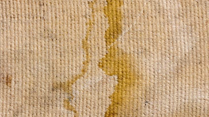 Zeytinyağı lekesini üste çıkarıyor! 1 kaşık bebek pudrası yeter, yoksa nişasta kullanın