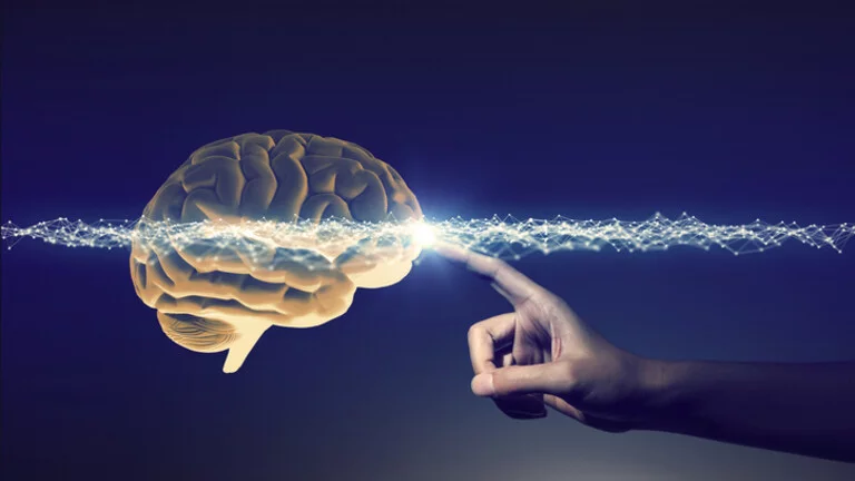 Zihin Gençleştirici Mobil Uygulama: Bulmacaları Unutun, 10 Yıl Gençleşin!