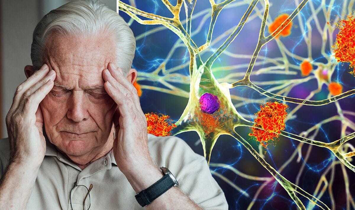 Zihin Gençleştirici Mobil Uygulama: Bulmacaları Unutun, 10 Yıl Gençleşin!