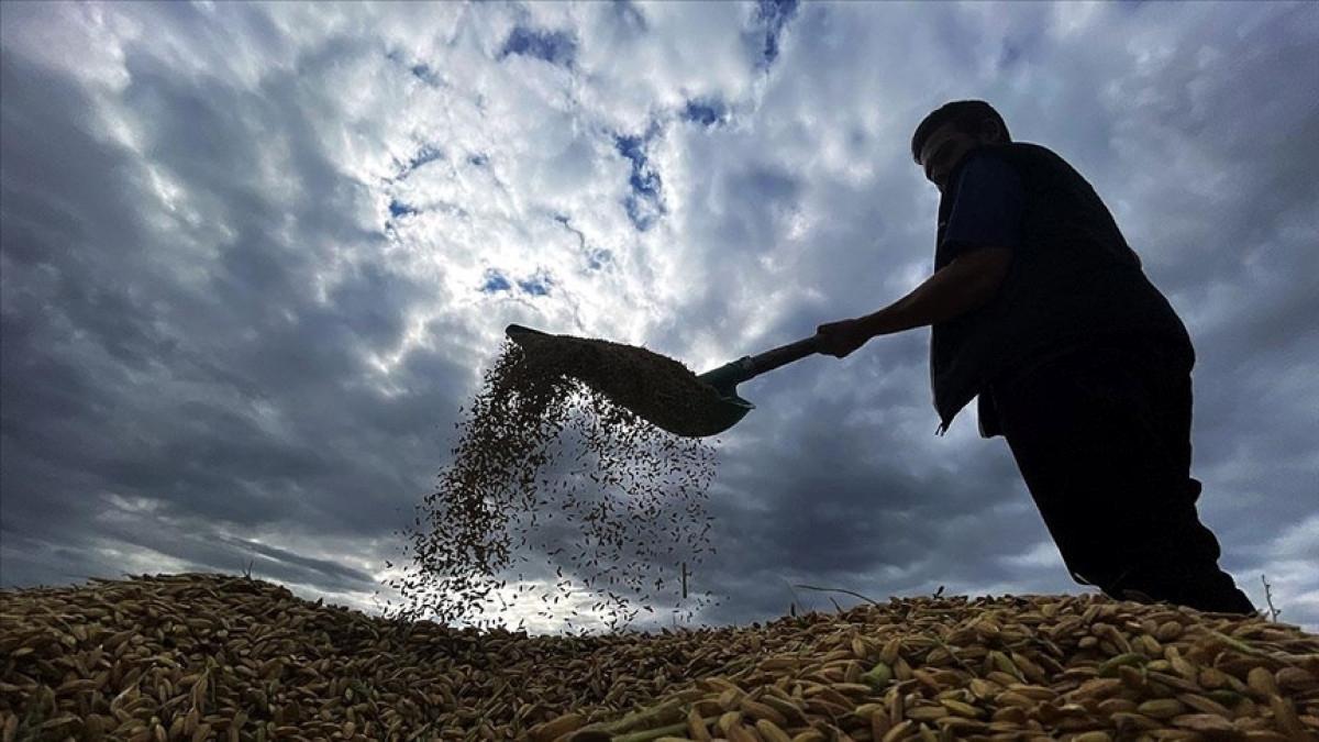 Ziraat Mucizesi: Üreticiler İçin 1,7 Milyar Lira Yeni Destek!