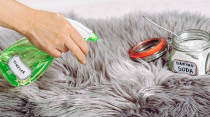 Zor lekeler suni kürk halınızı mahvetmesin: Uzmanların 2 malzemeli formülü 7 Zor lekeler suni kürk halınızı mahvetmesin: Uzmanların 2 malzemeli formülü