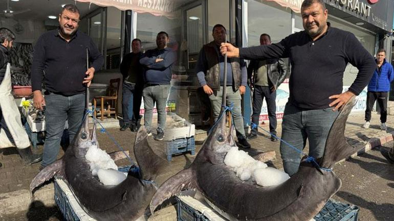 4 kişi yardım etti gören şoke oldu! ‘Böylesini hayatımda görmedim'