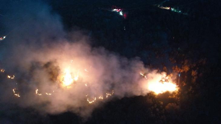 Artvin'de örtü yangını ormana sıçradı