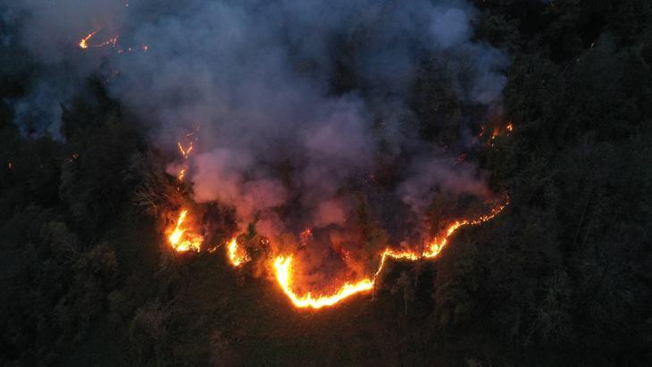 Artvin'de örtü yangını ormana sıçradı