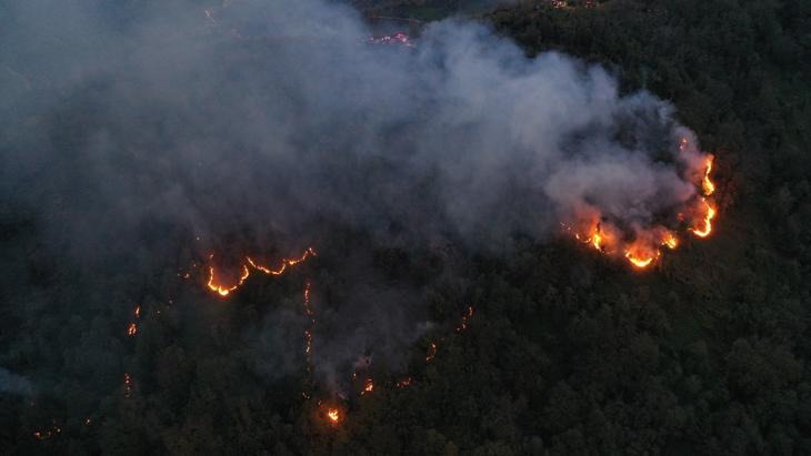 Artvin'de örtü yangını ormana sıçradı