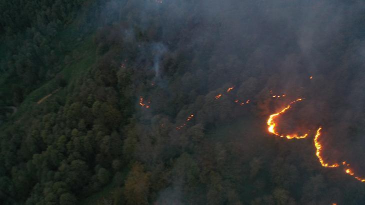 Artvin'de örtü yangını ormana sıçradı