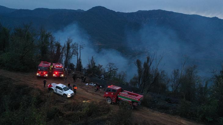 Artvin'de örtü yangını ormana sıçradı