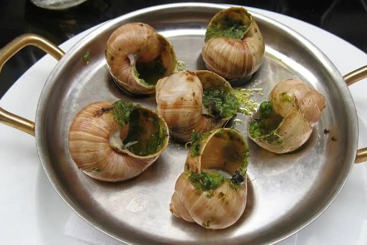 Fransa’da bir çiftlikten 4 milyon TL pahasında salyangoz çalındı