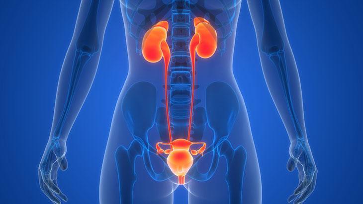 Sırt ağrısı deyip geçemeyin! Mesane kanseri habercisi olabilir